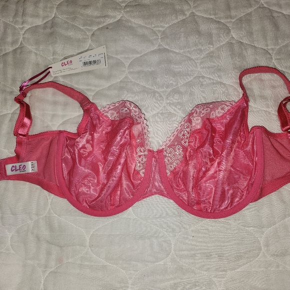 Cleo by Panache 30J Lucy Bra Underwire Pink Style 5851 NWT - Picture 4 of 7